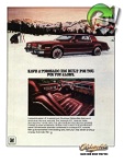 Oldsmobile 1979 2.jpg